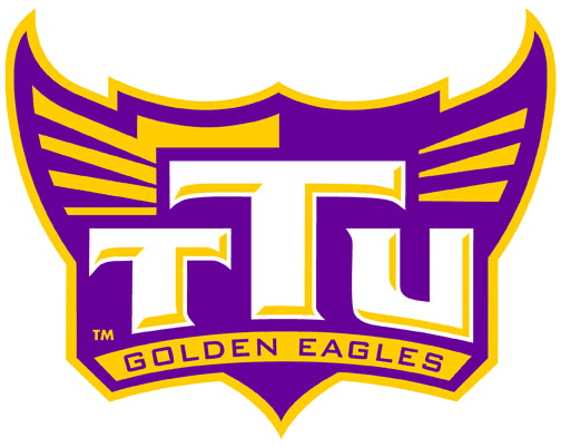 Tennessee Tech Golden Eagles 2006-Pres Alternate Logo t shirts iron on transfers v6